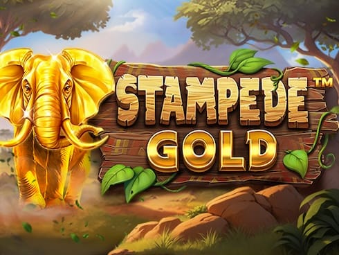 Stampede Gold screenshot